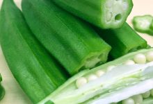 Photo of BENEFITS OF OKRA FOR YOUR SKIN, HAIR AND HEALTH