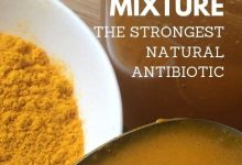 Photo of How to Make a Natural Antibiotic with Turmeric For The Family