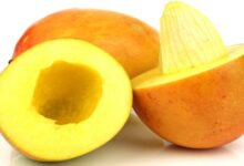Photo of 12 Benefits Of Mango Seeds For Skin, Hair And Health