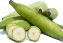 Photo of UNRIPE PLANTAIN AS REMEDY FOR EPILEPSY