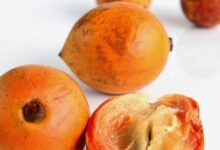 Photo of AFRICAN STAR APPLE HEALTH BENEFITS