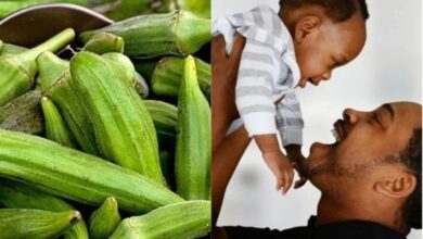Photo of NATURAL REMEDY FOR TWIN WITH OKRA