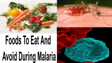 Photo of FOODS TO EAT AND FOODS AVOID WHILE TREATING MALARIA