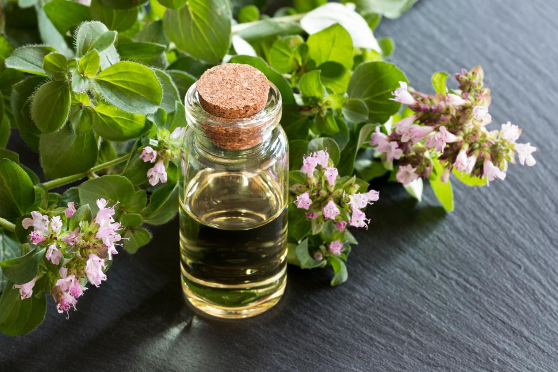 Photo of Oregano Oil: EFFECTIVE REMEDY AGAINST BACTERIAL AND FUNGAL INFECTIONS, INFLAMATION, AND PAIN