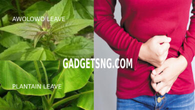 Photo of AWOLOWO LEAF: BEST HOME REMEDY FOR FIBROID AND BLEEDING