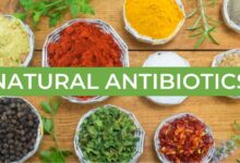 Photo of Natural Antibiotics for Infections That Are Good For Your Health