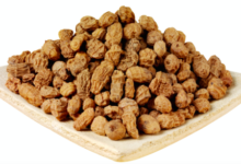 Photo of 15 HEALTHY POWERS OF TIGER NUTS