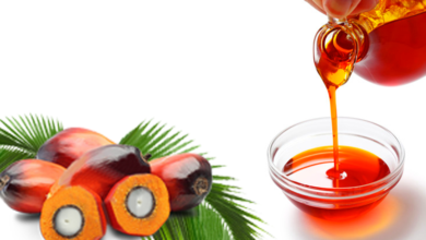 Photo of HEALING POWERS OF RED PALM OIL (A MUST READ)