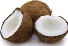 Photo of NATURAL COCONUT REMEDY FOR STOMACH ULCER