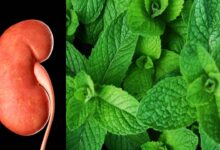 Photo of HOW TO CLEAN KIDNEYS WITHOUT SIDE EFFECTS