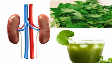 Photo of CLEAN  KIDNEY WITH THIS REMEDY TO AVOID KIDNEY FAILURE