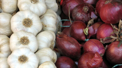 Photo of 5 REASON TO EAT MORE ONION AND GARLIC
