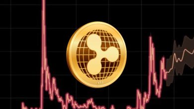 Photo of Ripple Cryptocurrency: What is It and How Its Price Changed in 2022